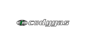 repuestos codygas