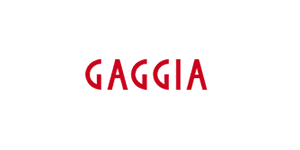 gaggia repuestos