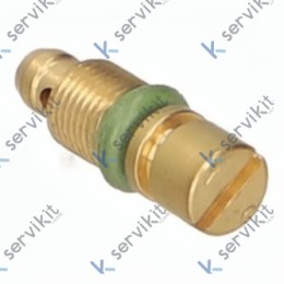 Inyector BY-PASS Ø1mm Pel 20/21 M5x0.5mm