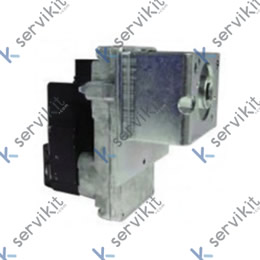 Motor Asador De Pollos Reductor 230V