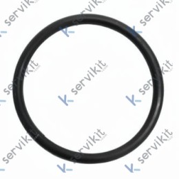 Junta Resistencia Fi Ø62x5mm