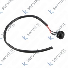 Microinterruptor