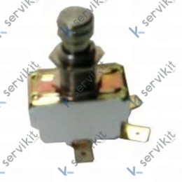 Microinterruptor Grupo