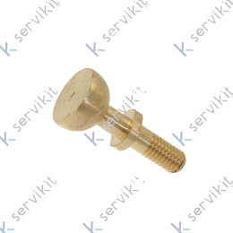 Tornillo eje grifo cafetera La Spaziale